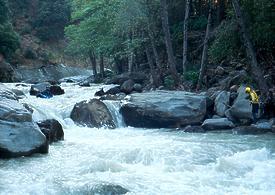 Mill Creek near Los Molinos CA