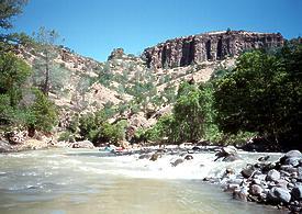 Mill Creek near Los Molinos CA