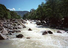 Mill Creek near Los Molinos CA