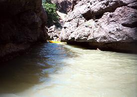 Mill Creek near Los Molinos CA