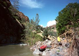 Mill Creek near Los Molinos CA