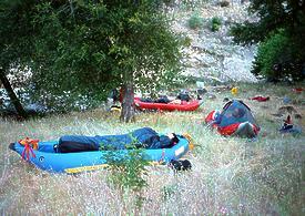 Mill Creek near Los Molinos CA