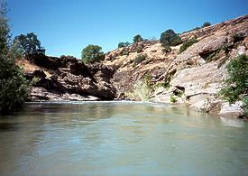 Mill Creek near Los Molinos CA