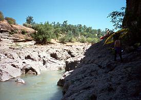 Mill Creek near Los Molinos CA