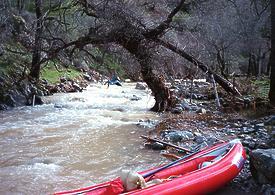 Arroyo Mocho CA