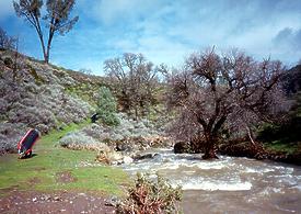 Arroyo Mocho CA