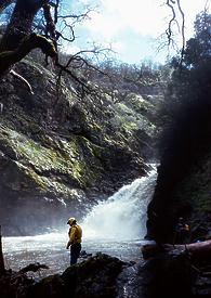 Arroyo Mocho CA