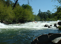 Mokelumne River below Electra CA