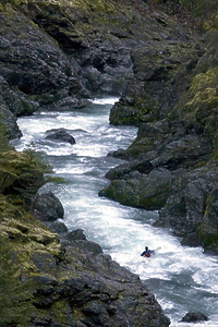 New River near Denny CA