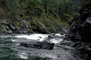 New River near Denny CA