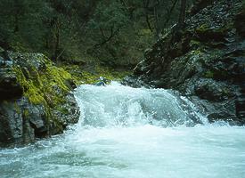 North Fork Cottonwood Creek CA