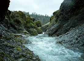 North Fork Cottonwood Creek CA