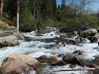 North Fork Stanislaus CA