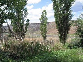 Owyhee River OR