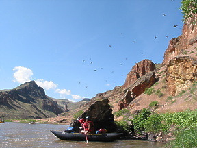 Owyhee River OR