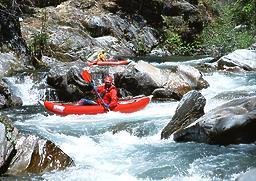 Pauley Creek near Downieville CA