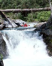 Pauley Creek near Downieville CA