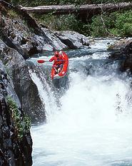 Pauley Creek near Downieville CA