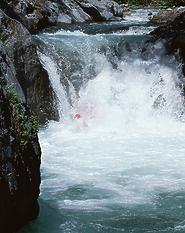 Pauley Creek near Downieville CA