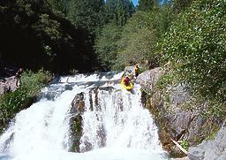 Pauley Creek near Downieville CA