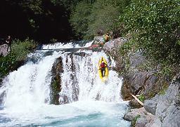 Pauley Creek near Downieville CA