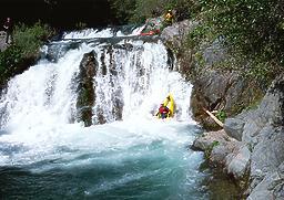 Pauley Creek near Downieville CA