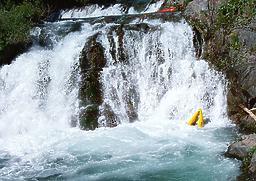 Pauley Creek near Downieville CA