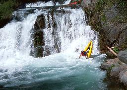 Pauley Creek near Downieville CA