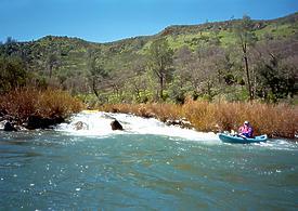 Putah Creek near Middletown CA