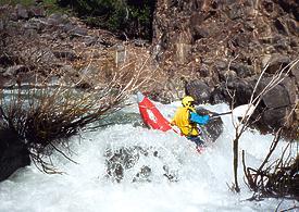 Putah Creek near Middletown CA