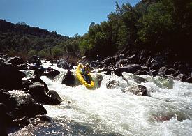 Putah Creek near Middletown CA