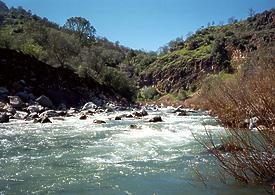 Putah Creek near Middletown CA