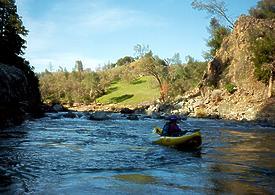 Putah Creek near Middletown CA