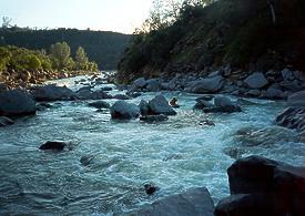 Putah Creek near Middletown CA