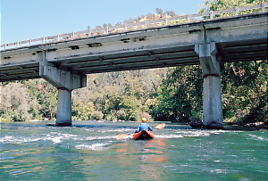 Putah Creek near Winters CA