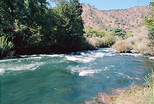 Putah Creek near Winters CA