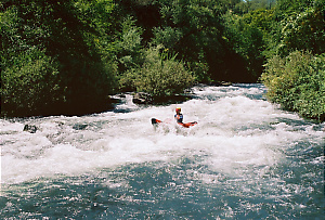 Putah Creek near Winters CA