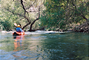 Putah Creek near Winters CA