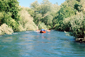 Putah Creek near Winters CA