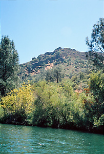 Putah Creek near Winters CA