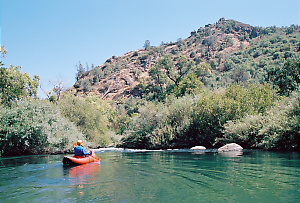 Putah Creek near Winters CA