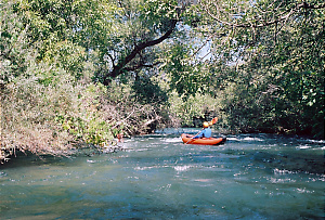 Putah Creek near Winters CA