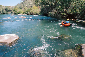 Putah Creek near Winters CA