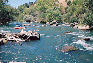 Putah Creek near Winters CA