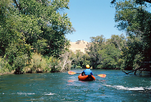 Putah Creek near Winters CA