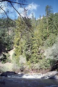 Rancheria Creek near Boonville CA