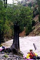 Upper Rancheria Creek near Boonville CA