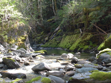 Redwood Creek near Orick CA