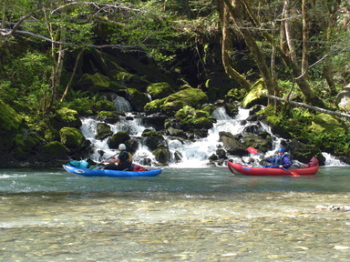 Redwood Creek near Orick CA