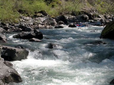 Redwood Creek near Orick CA